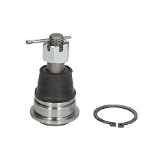 Articulatie sarcina/ghidare Pivot axa Dreapta/Stanga inferior fata diametru con 147mm NISSAN PRIMERA SUNNY II 1.3-2.0D 01.86-07.02 555 SB-4592