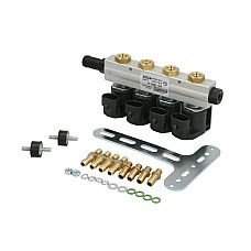 Rampa injector GPL LPG injection rail number of cylinders 4 pcs ACW-01 AC LPG WGM2040AH