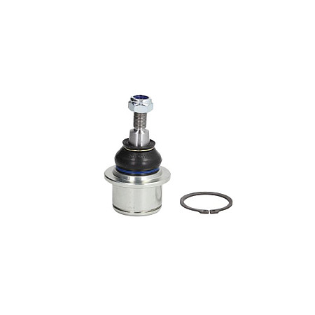 Articulatie sarcina/ghidare Pivot axa Dreapta/Stanga superior fata RENAULT CLIO III MEGANE III 1.2-2.0D 05.05- TEN CAR S049