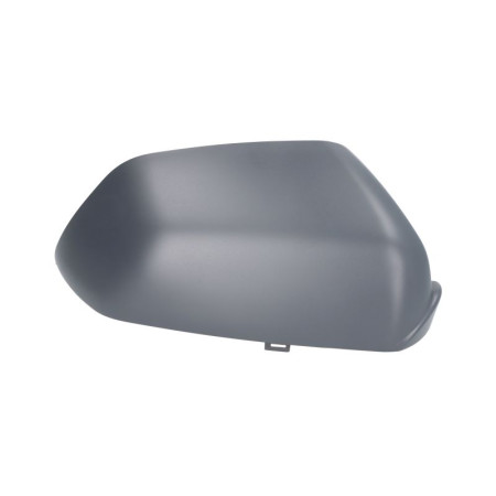 Acoperire, oglinda exterioara Carcasa / capac al oglinzii laterale Dreapta pentru pictura SKODA OCTAVIA I OCTAVIA I/KOMBI OCTAVIA II VW POLO POLO IV 09.96- MAGNETI MARELLI 351991202820
