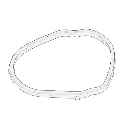 Etansare filtru ulei Oil filler stub-pipe oil pipe gasket FIAT DUCATO 2.0D 06.11- OE FIAT 55214206