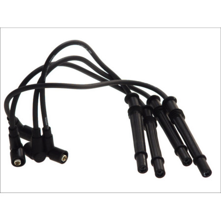 Set fise bujii RENAULT CLIO / KANGOO 1.2-06.08 12.04-MODUS 1.2 BERU BY DRIV ZEF 1604       0300891604