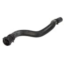 Radiator Furtun cauciuc top /255mm  FORD FIESTA V 1.3 11.01-06.08 THERMOTEC DWG018TT