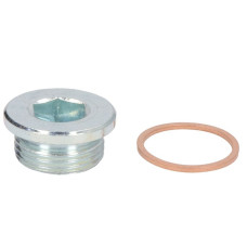 Surub de golire, baia de ulei Oil sump drain bolt M22x15 MULTICAR FUMO SOLARIS URBINO II IVECO DAILY I DAILY II DAILY III DAILY IV DAILY V DAILY VI POWER DAILY RVI MASCOTT ALFA ROMEO 155 25TD-VM96A 01.78- ELRING EL877910