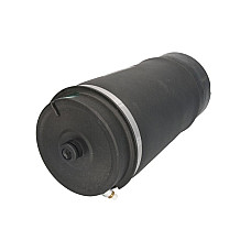 Perna de aer Spate Dreapta/Stanga LAND ROVER RANGE ROVER III 3.0D-5.0 03.02-08.12 ARNOTT EUROPE A-2831