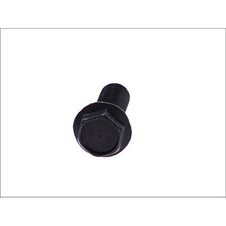 Bolt principal JOST krlewskego pini filetat 16mm KZE 1416 03