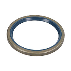 Set reparatie, diferential Axle gasket CARRARO CARRARO 145106-CR