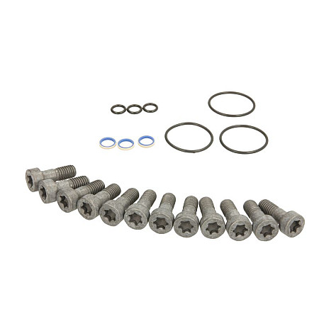 Set garnituri, pompa injectie Sigilii setate sistem Puma VDO A2C5336196180