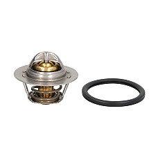Termostat,lichid racire Termostat sistem racire 89C DACIA DUSTER DUSTER/SUV LOGAN LOGAN EXPRESS LOGAN II LOGAN MCV SANDERO SOLENZA LADA LARGUS NISSAN KUBISTAR MICRA III PRIMASTAR 1.2-3.0D 06.95- BEHR BTX 100 89D