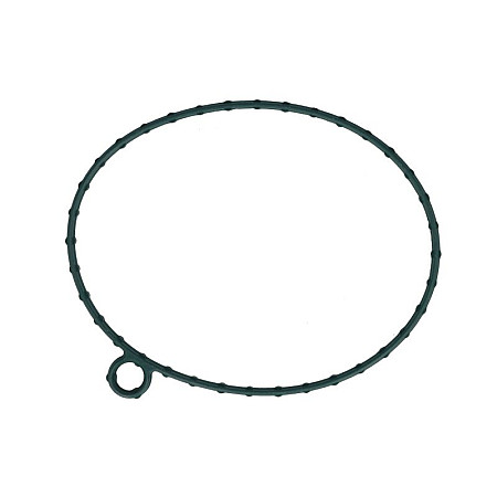 Garnitura, pompa de apa Water pump gasket JOHN DEERE FP DIESEL R527663-FP