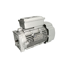 Piese si accesorii pentru elevatoare EVERT Silnik elektryczny 1-fazowy 22kW 230V do podnosnikow EVER6253E-230V i EVERT6254E EVERT EVERTZL320201002