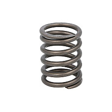 Arc supapa Valve spring FP DIESEL 9N5496-FP