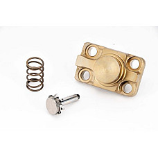 Chiulasa Cap de pompa BOSCH F 01M 100 927