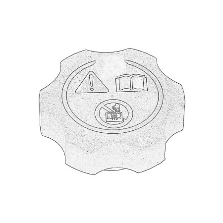 Capac, rezervor apa Coolant equalization tank plug 14bar  ALFA ROMEO GIULIA BUICK ENCORE LAE CADILLAC CT6 ESCALADE SRX XT4 XT5 XTS CHEVROLET AVALANCHE AVEO CORVETTE CRUZE MALIBU 1.0-6.6D 06.05- OE OPEL YR00269780
