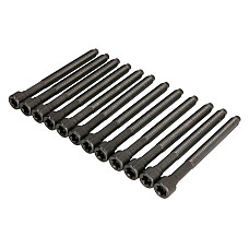 Set surub chiulasa bolturi AUDI A3 TT VW JETTA III IV NEW BEETLE 25 0705  ELRING EL005610