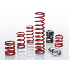 Set arcuri sport Lowering spring Motorsport ERS 1pcs /  / EIBACH ERS-H-170-060-0040