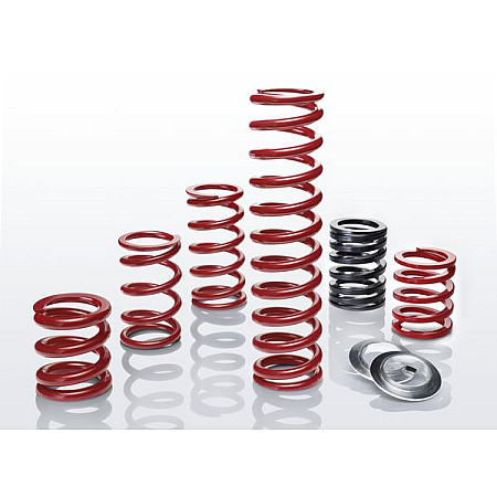 Set arcuri sport Lowering spring Motorsport ERS 1pcs /  / EIBACH ERS-H-170-060-0040