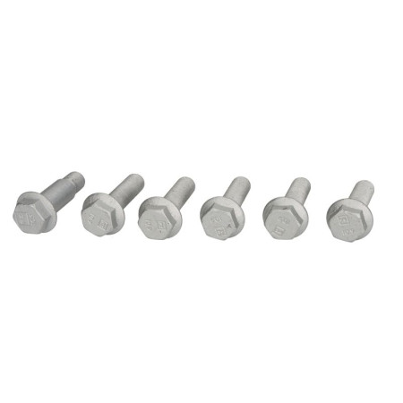 Surub, etrier Kit reparare etrier Fata/Spate Dreapta/Stanga suruburi pentru montarea jugului etrierului KNORR SB 7 SN 7 PETERS 016.187-10