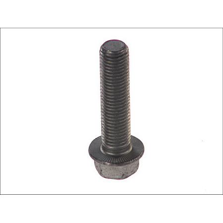 Surub surubul bratelor de osie M16x2x65 BPW BPW 02.5070.95.00