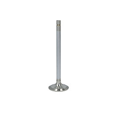 Supapa evacuare Exhaust valve FP DIESEL R84619-FP