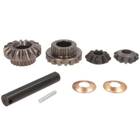 Set reparatie, diferential Differential assembly repair kit CARRARO CARRARO 68446-CR