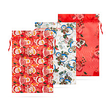 Plas cadou Organza - 4 tipuri - 20 x 30 cm