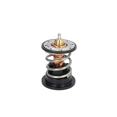 Termostat,lichid racire Termostat sistem racire 87C BMW 1 F20 1 F21 2 F22 F87 3 E90 3 E91 3 E92 3 E93 3 F30 F80 3 F31 3 GRAN TURISMO F34 4 F32 F82 4 F33 1.6D-3.0D 09.88- VERNET TH7287.87