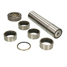 Set reparatie, pivot MERCEDES-BENZ ACTROS MP2 / MP3 AUGER AUG56162