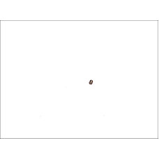 Alte elemente sistem combustibil Bile de supapa de ghidare rulanta pret pt 10 buc BOSCH F 00V C21 002K