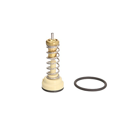 Termostat,lichid racire Termostat sistem racire 105C SEAT ALTEA TOLEDO III SKODA RAPID VW EOS GOLF PLUS V JETTA IV PASSAT B6 PASSAT B7 TIGUAN 1.4/1.6 05.07- BEHR BTX 181 105D
