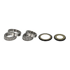 Rulment cap de sasiu Caster Avand Kit ALL BALLS 22-1037