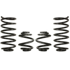 Set arcuri sport Eibach Pro-Kit-ul Skoda Octavia 1U Sedan Limousine / 1.4 1.6 2.0 cutie de viteze 1.9 SDI 09.96 - 05.04 1000 kg/1000 kg E7905-140 30 mm / 30 mm EIBACH E7905-140