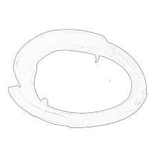 Brat caseta directie Coil spring washer bottom/front L/R FORD C-MAX II FOCUS III GRAND C-MAX KUGA II 04.10- OE FORD 1683279