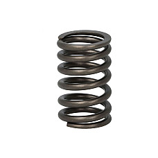 Arc supapa Valve spring JOHN DEERE JOHN DEERE 1000 2000 3000 4000 5000 6000 7000 8000 900 9000 3029-6466T FP DIESEL R26125-FP