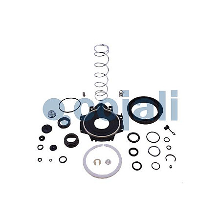 Set reparatie, servofrana Clutch servo repair kit COJALI 6012048COJ
