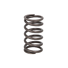 Arc supapa Valve spring CATERPILLAR C9 IPD PARTS 1906117-IPD