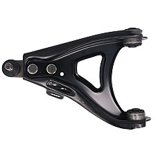 Brat, suspensie roata Bratul axei anterioare a puntii dorite Stanga inferior fata 16 mm RENAULT MEGANE I MEGANE I CLASSIC MEGANE I COACH MEGANE SCENIC SCENIC I 1.4-2.0 01.96-09.03 DELPHI TC1256