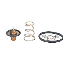 Termostat,lichid racire Termostat sistem racire 95C JEEP GRAND CHEROKEE IV WRANGLER III 3.6/3.6ALK 11.10- MOTORAD 724-95K