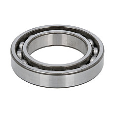 Set reparatie, diferential Differential element bearing CARRARO CARRARO 25741-CR