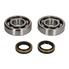 Set reparare de arbore cotit Crankshaft bearings set with garnituri SUZUKI RM 250 2005-2008 HOT RODS K057 HR