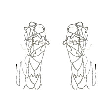 Lanturi pentru zapada camioane JOPE certificat O-NORM Cert austriac. V-5119 rombic 10R225 275/80R225 295/70R225 295/75R225 305/60R225 305/70R225 315/60R225 355/50R225 95R24 JOPE E3000/600