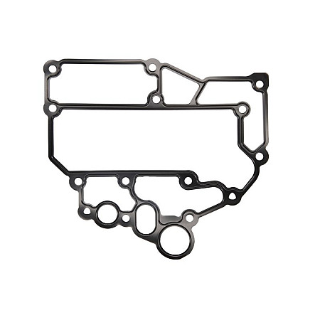 Etansare, racire ulei Garnitura radiator ulei MAN TGS I TGX I D2066LF06-D2066LF93 06.06- ELRING EL594850