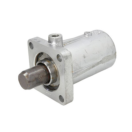 Sistem suspensie, pneumatic Elementul de reglare a suspensiei osia de rotire JOST JAE0210600022