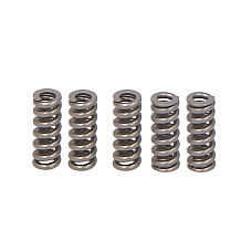 Arc CR injector solenoid spring price per 5 pcs BOSCH F 00R J00 308K