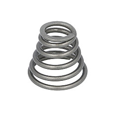 Set reparatie, diferential Gearbox element spring CARRARO TLB1 CARRARO 138308-CR