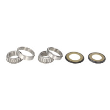 Rulment cap de sasiu Caster Avand Kit ALL BALLS 22-1018