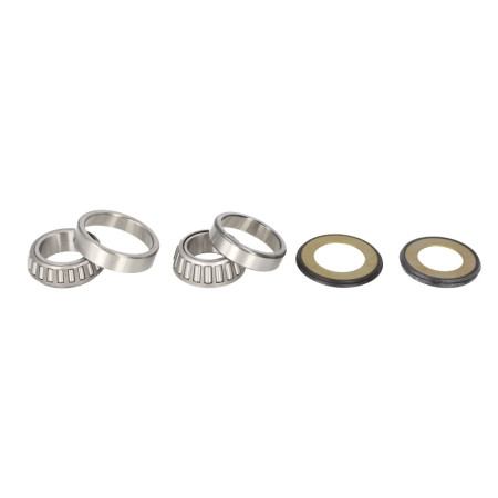Rulment cap de sasiu Caster Avand Kit ALL BALLS 22-1018