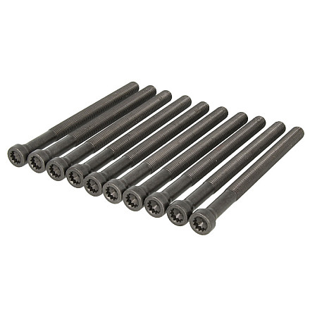 Set surub chiulasa bolturi AUDI A8 Q7 PORSCHE CAYENNE 33 40 42TDI 0600  ELRING EL130120