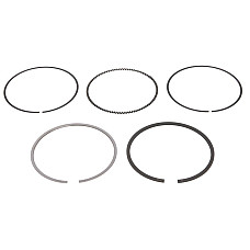 Set segmenti piston 81 STD 12 15 2 EN piston AUDI A3 A4 B5 SEAT CORDOBA CORDOBA VARIO IBIZA II LEON TOLEDO I TOLEDO II SKODA OCTAVIA I VW BORA 1.6 07.94-12.07 VW NE 120050006100