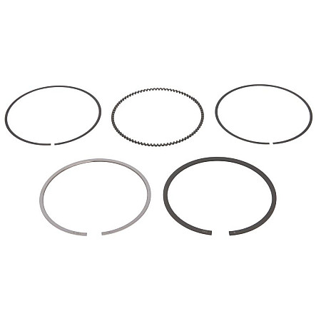 Set segmenti piston 81 STD 12 15 2 EN piston AUDI A3 A4 B5 SEAT CORDOBA CORDOBA VARIO IBIZA II LEON TOLEDO I TOLEDO II SKODA OCTAVIA I VW BORA 1.6 07.94-12.07 VW NE 120050006100
